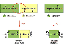 Die Herstellung von Polyamiden erfolgt in mehreren Schritten, entweder ausgehend von einem Monomer: Aminocarbonsäure (