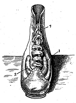 Early example of structured upper of a football shoe: two beads provided on the instep for improved shooting accuracy (DE-PS 347117)